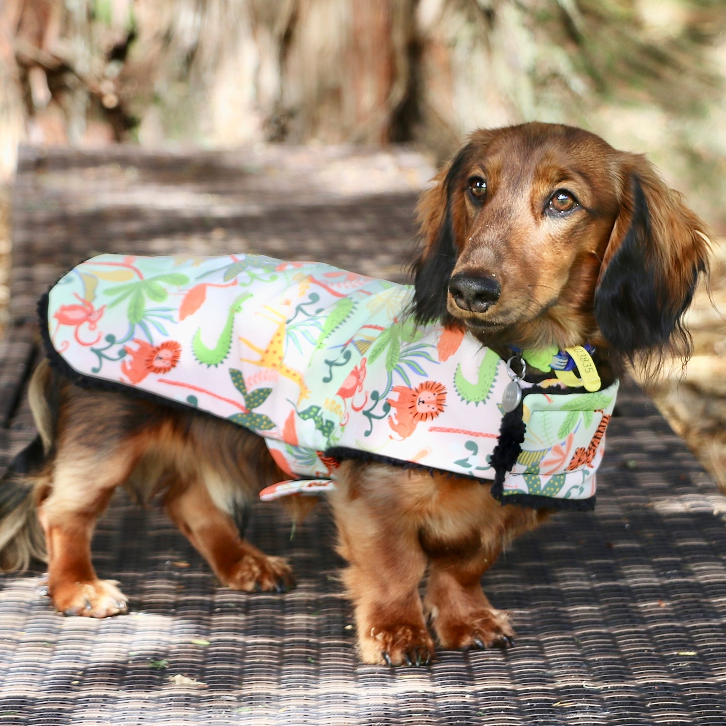 Deluxe Rainwear Jungle Animal Dog Rain Coat