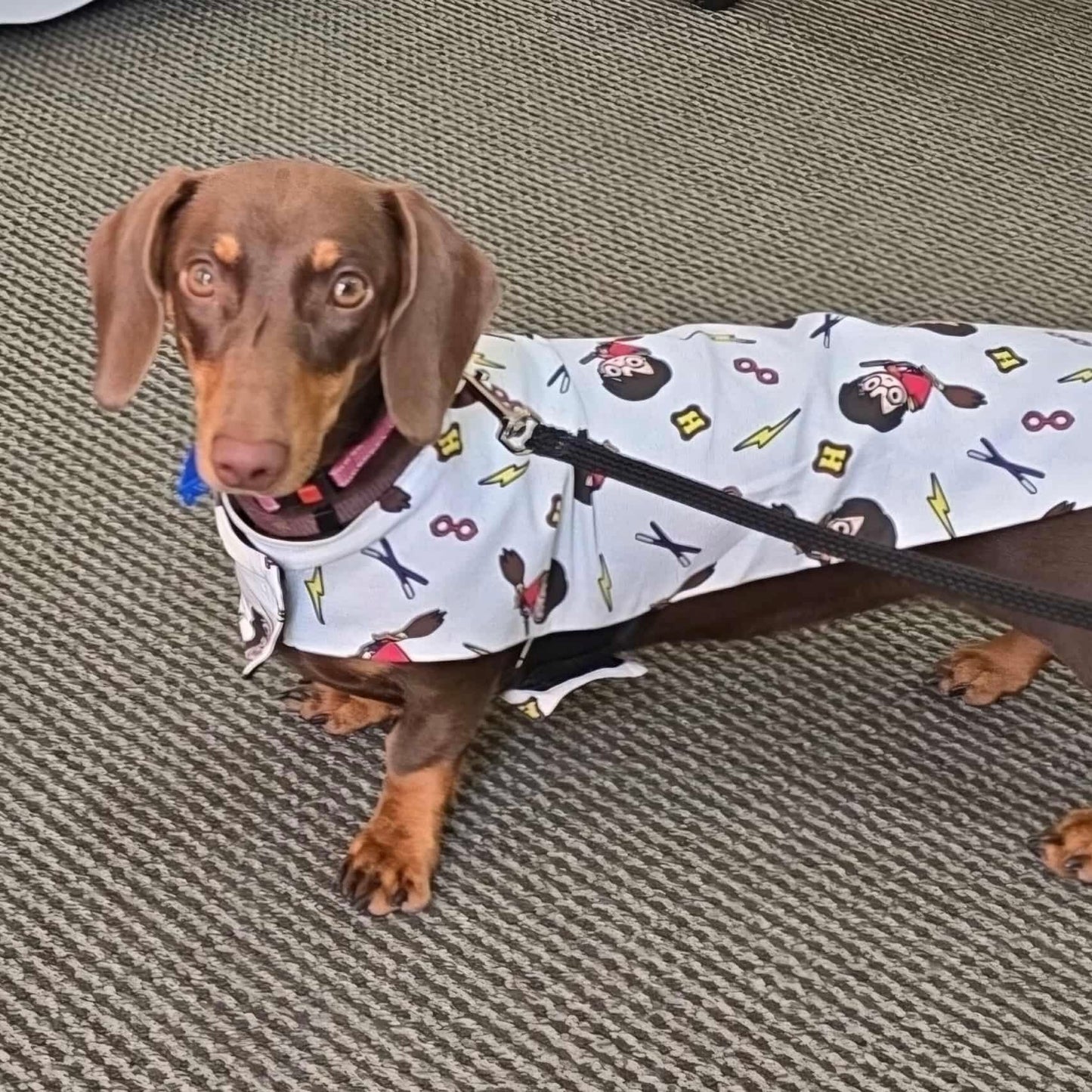 Harry Bundle - Save 25%