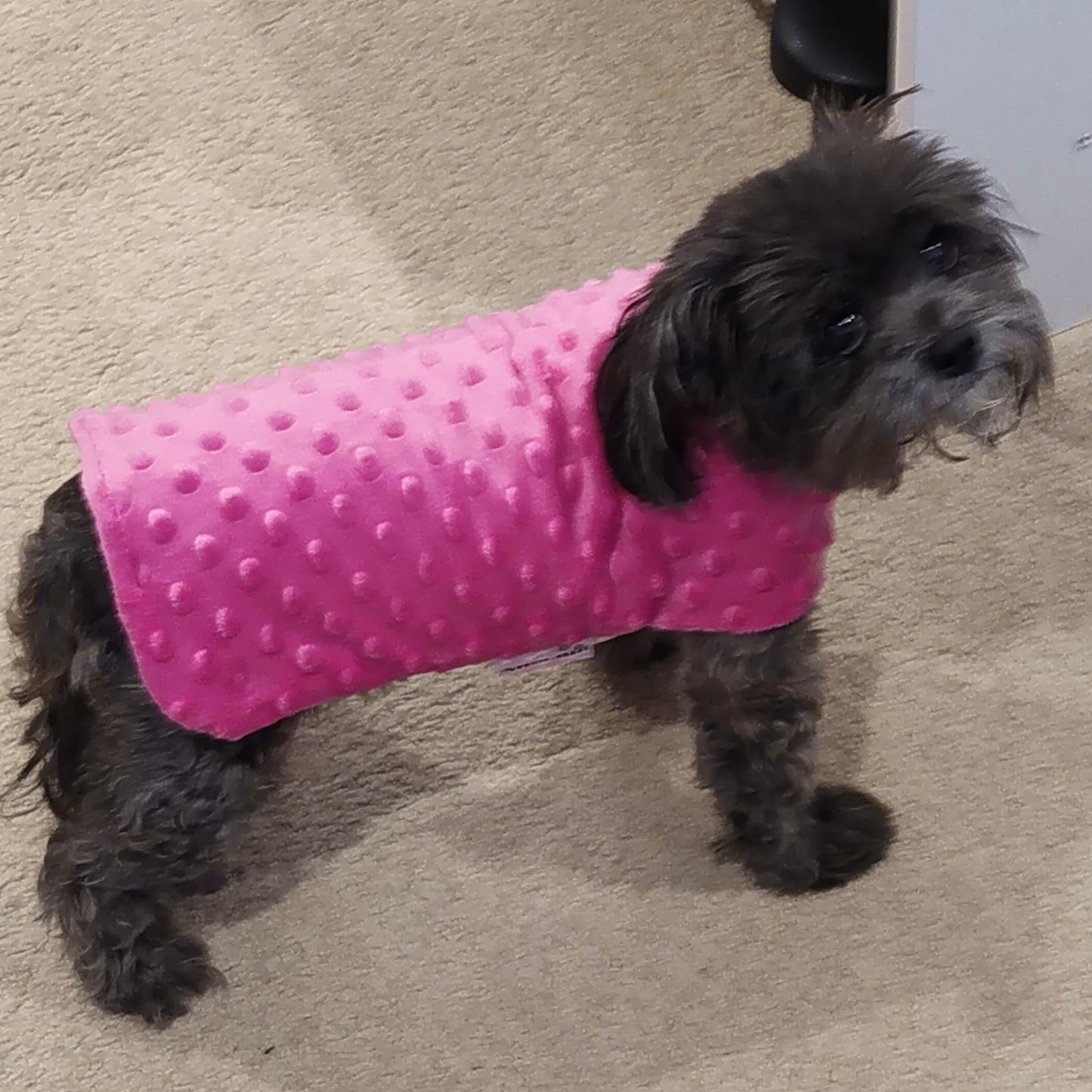 Nightwear Pink Puppies Dog Coats
