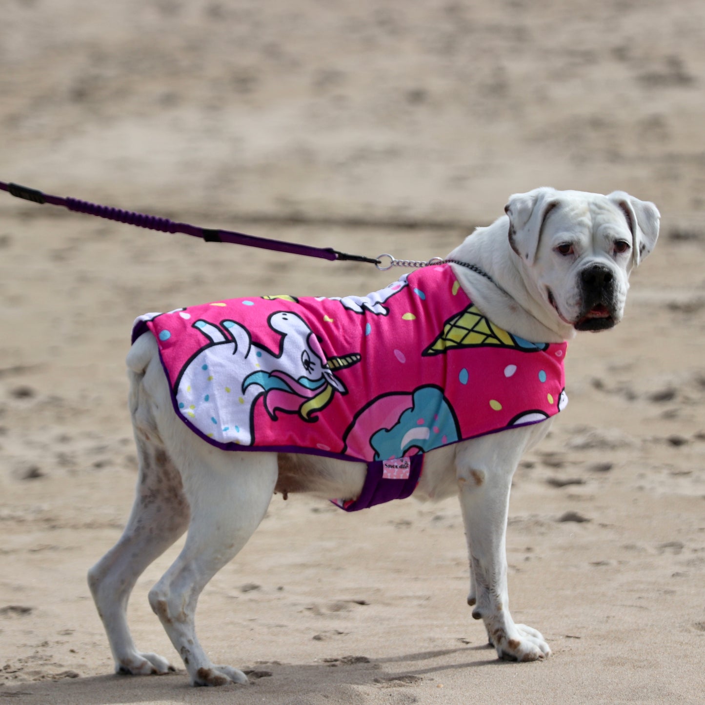 Beachwear Unicorn Towel Dog Coat