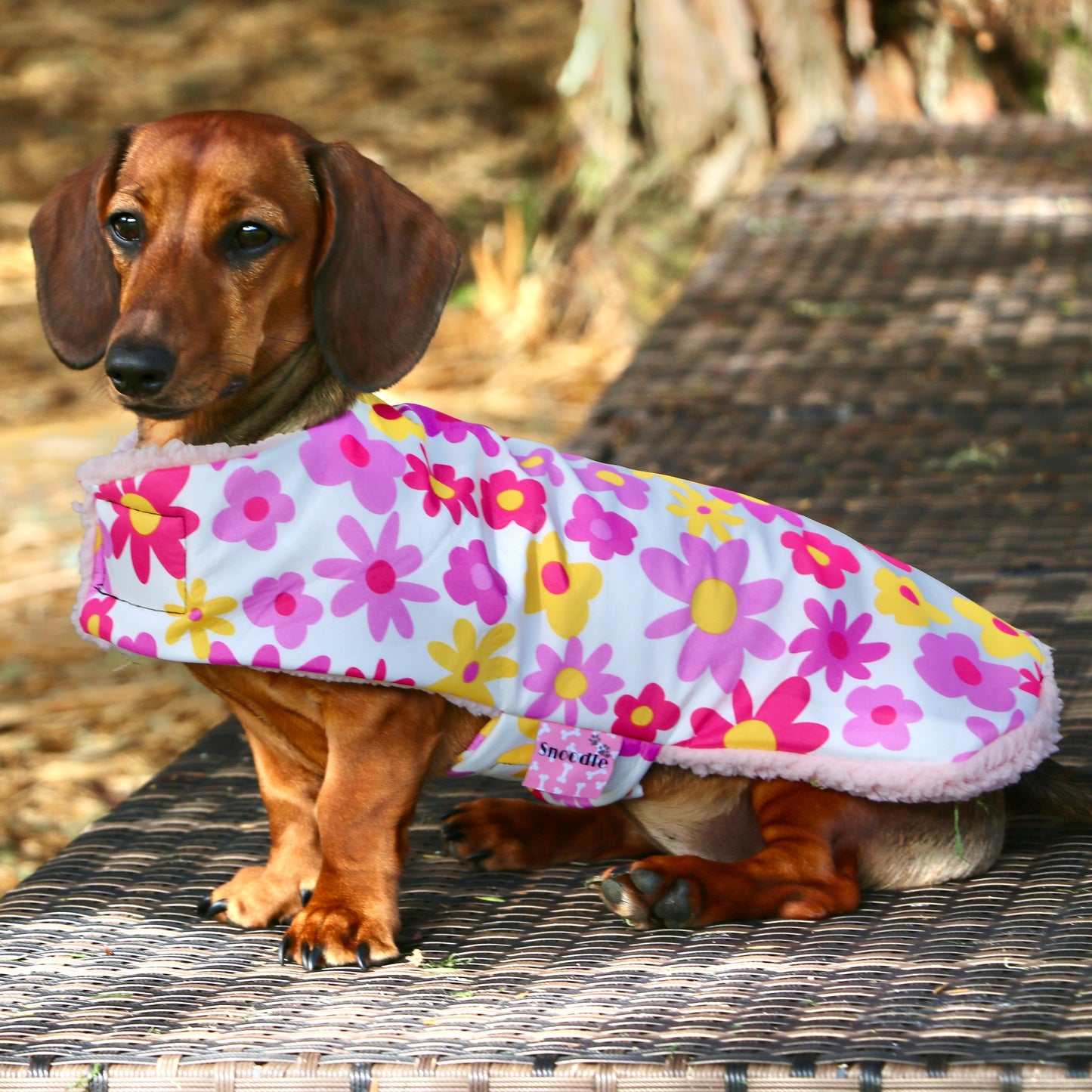 Deluxe Rainwear Funky Flower Dog Rain Coat