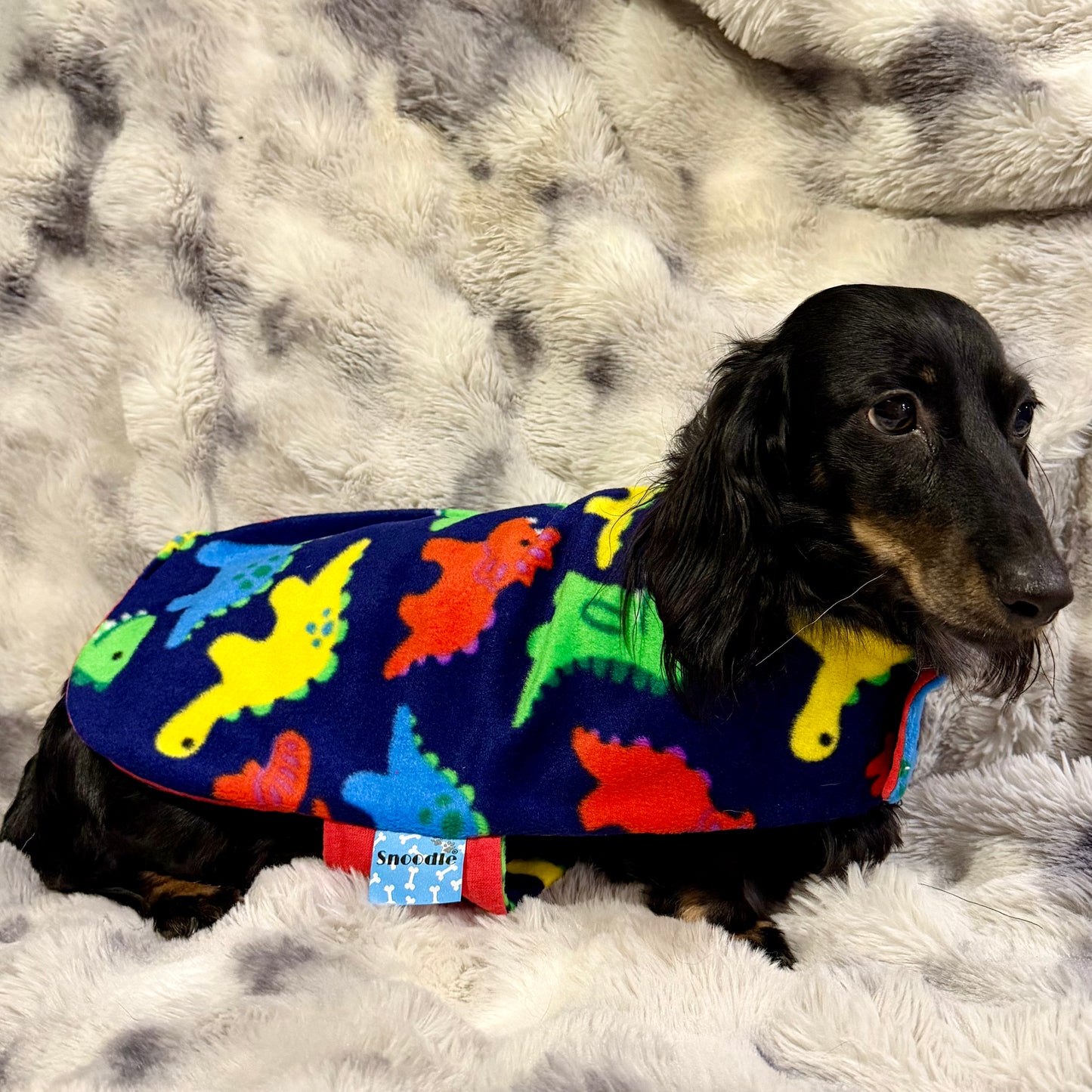 Daywear Colourful Dinosaurs
