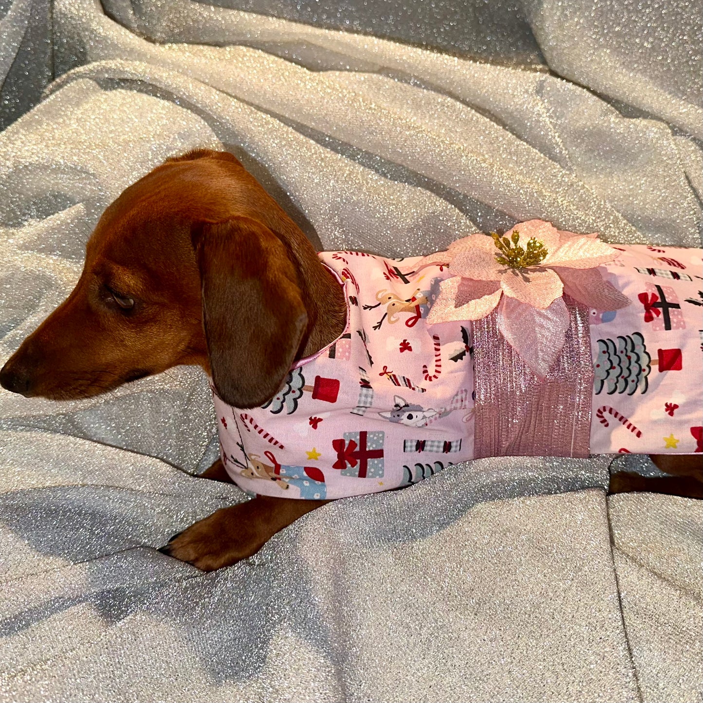 Christmas Pretty in Pink Dog Coat