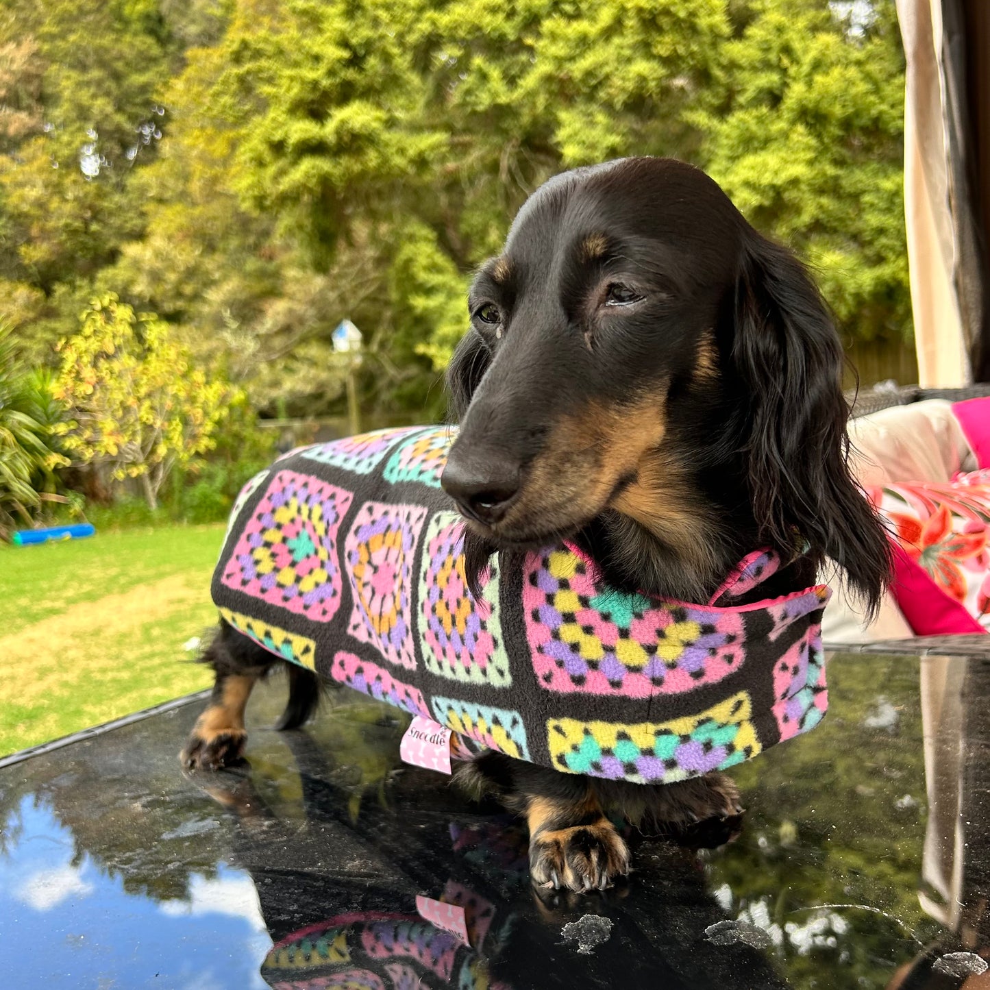 Rainwear Puffer Pink Crochet Print Dog Jacket