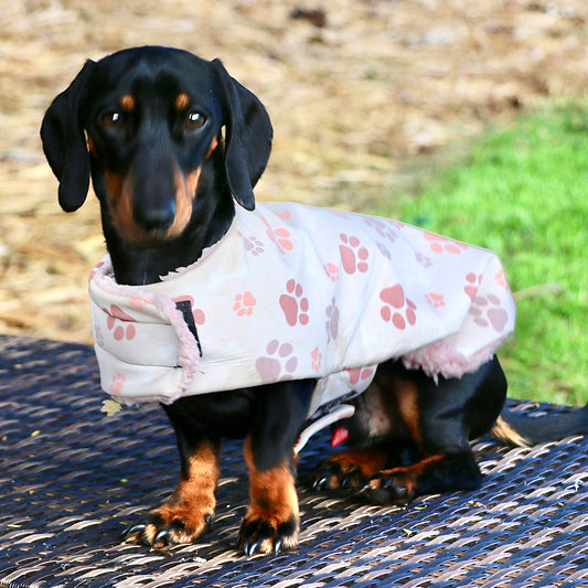 Deluxe Rainwear Paw Dog Rain Coat