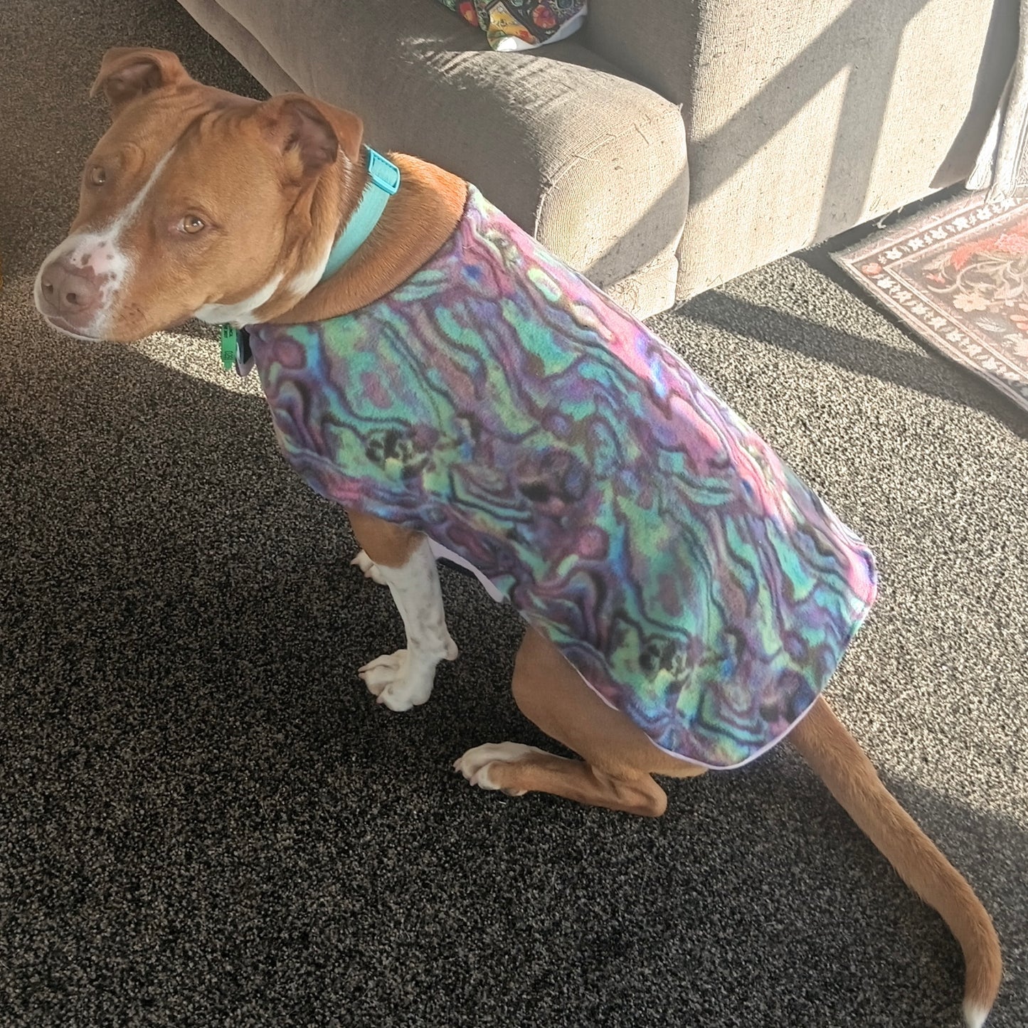 Daywear Paua
