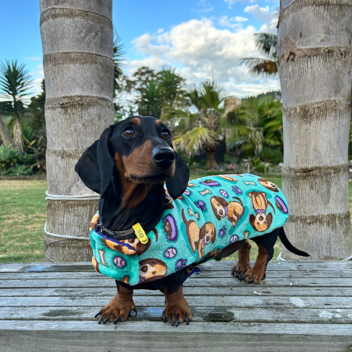 Rainwear Puffer Dog Print Dog Jacket