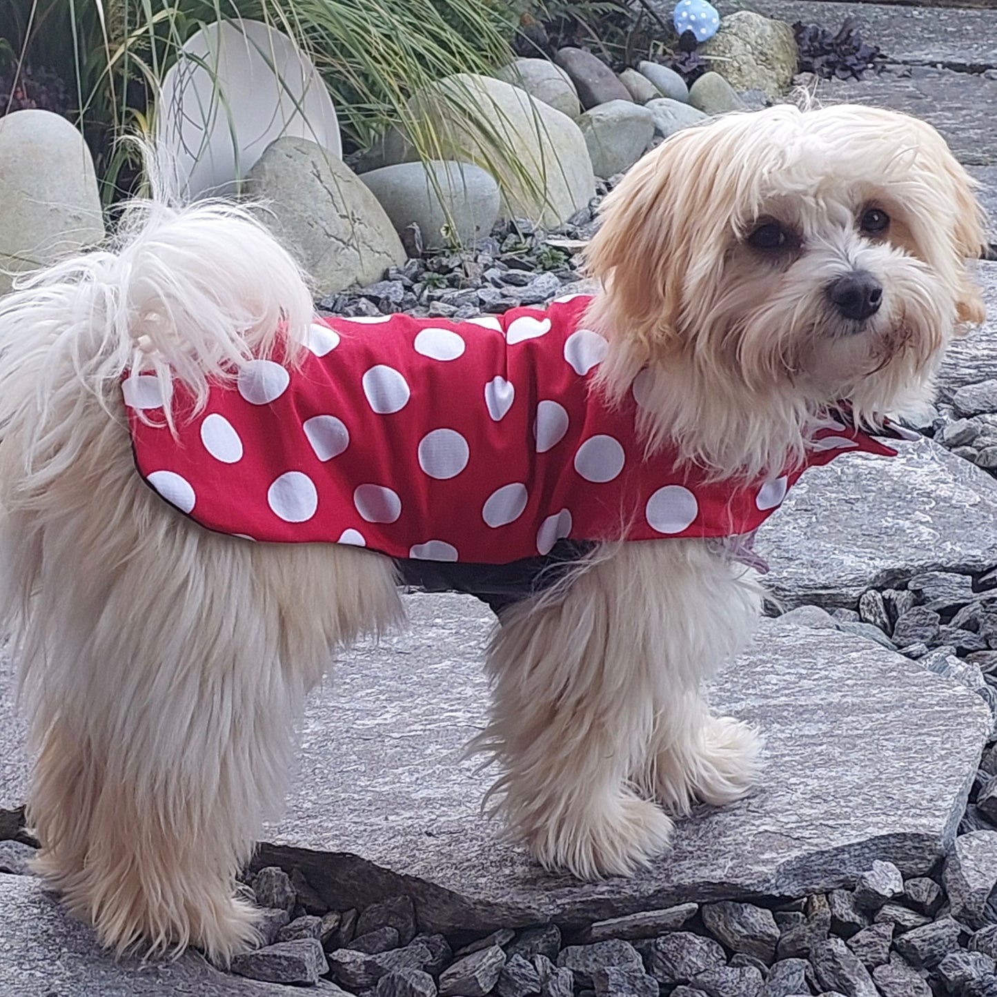 Rainwear Red Polka Dot Dog Rain Coat
