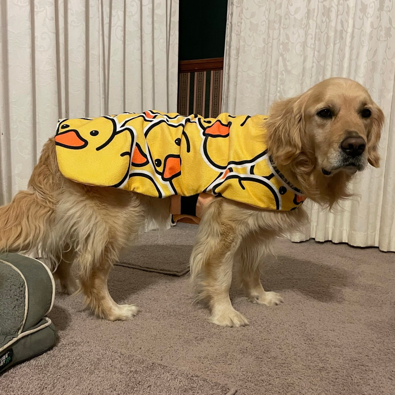 Beachwear Ducky Towel Dog Coat