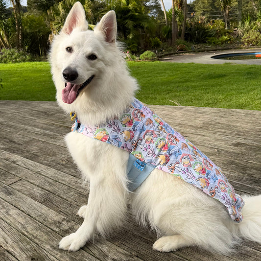 Nightwear Poo and Friends Dog Coat