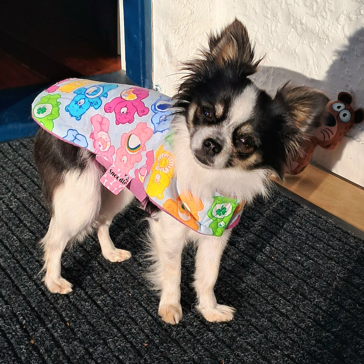 Daywear Care Bear Dog Coat