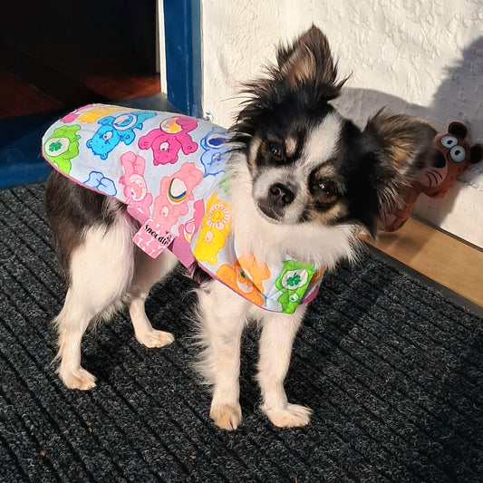 Daywear Care Bear Dog Coat