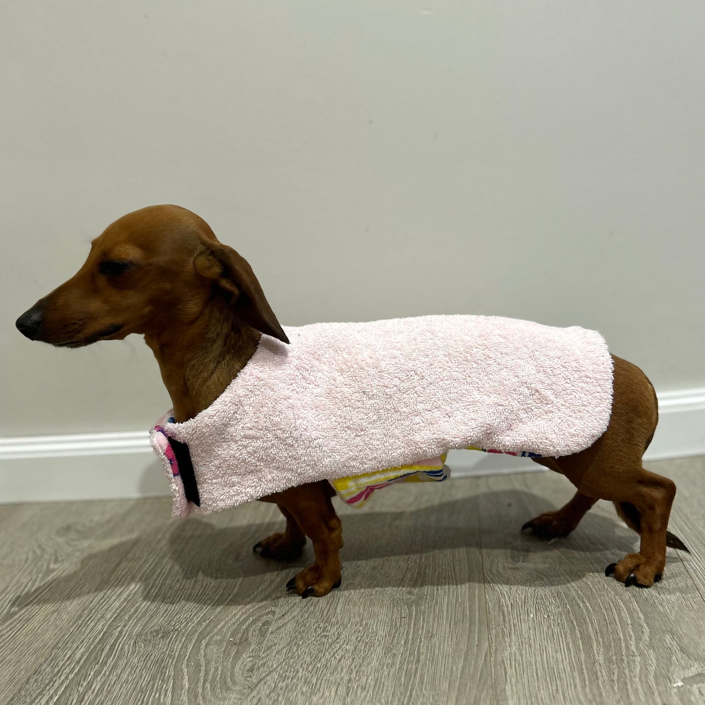 Towelwear Pink Butterfly Dog Coat