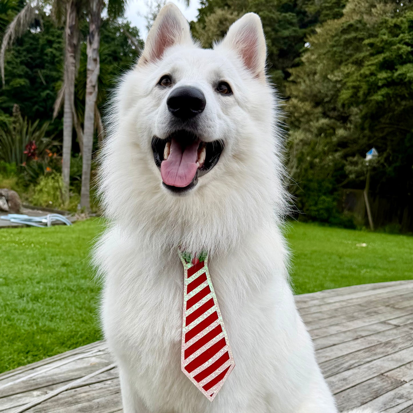Christmas Candy Cane Glitter Dog Tie
