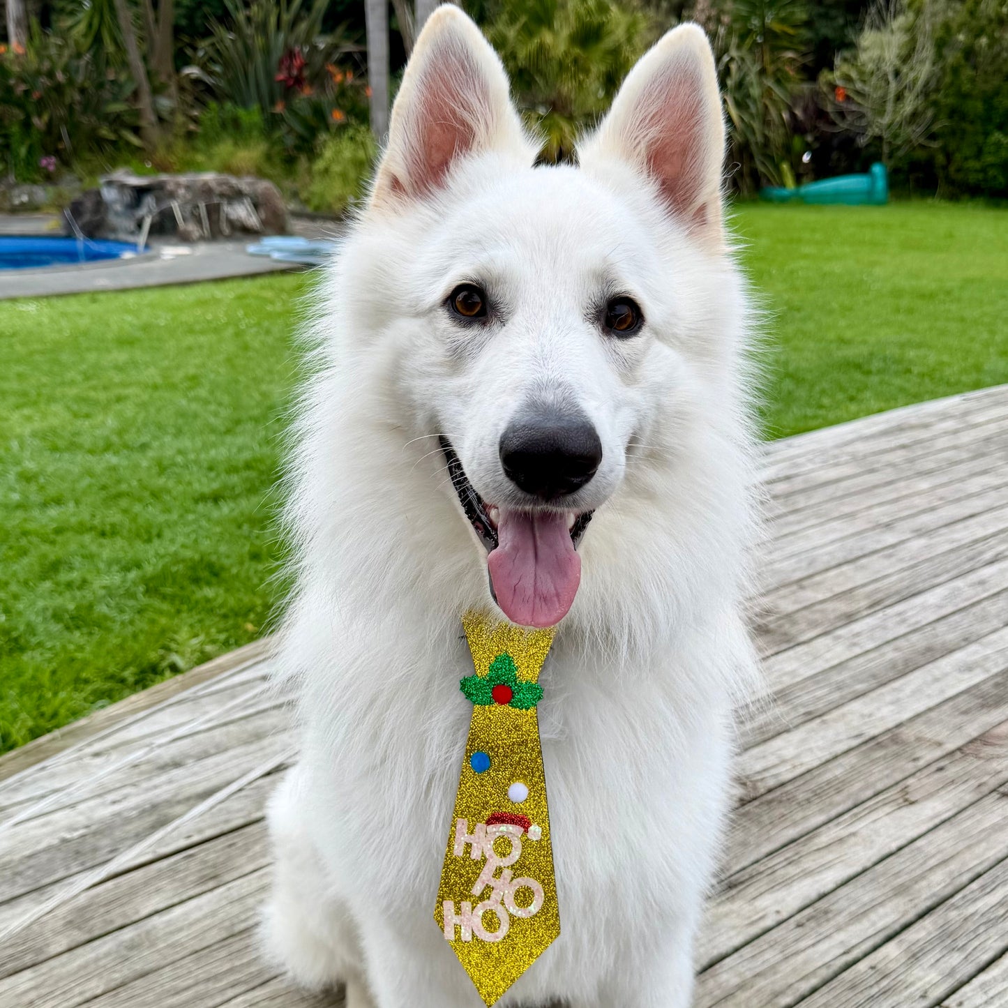 Christmas Ho Ho Glitter Dog Tie