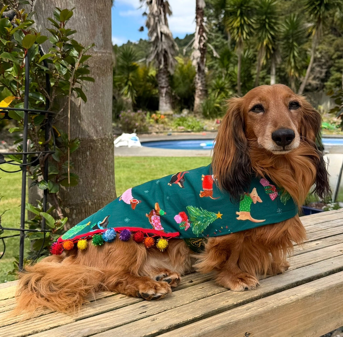 Dachshund Christmas Gift Box