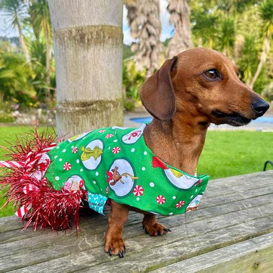 Christmas Grinch Dog Coat