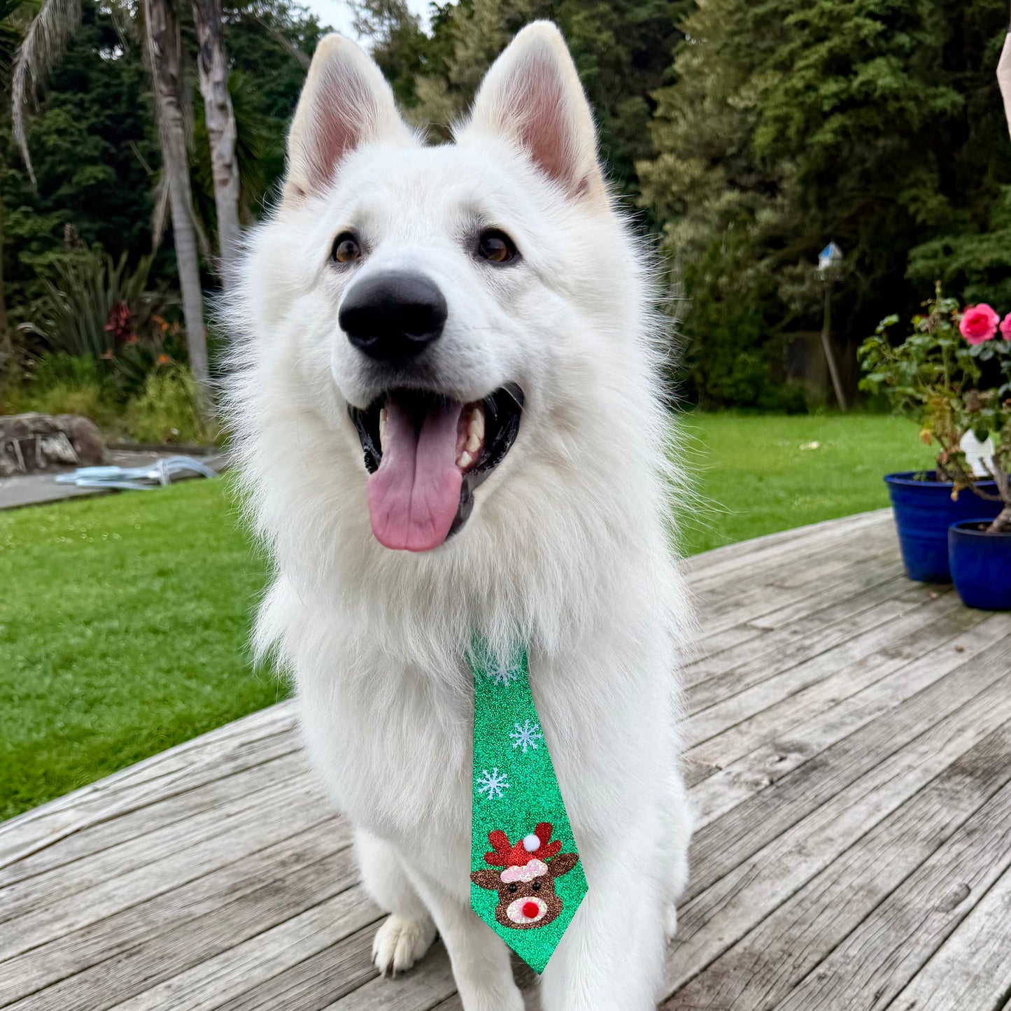 Christmas Green Snowflake and Reindeer Glitter Dog Tie