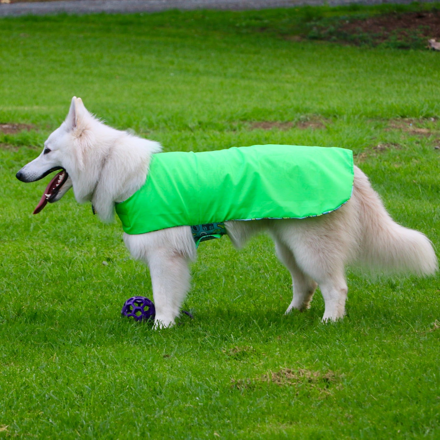 Rainwear Grogu Dog Rain Coat