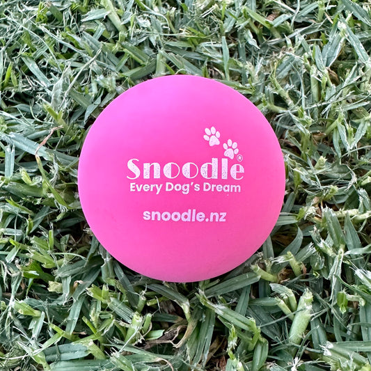 Snoodle Ball Pink