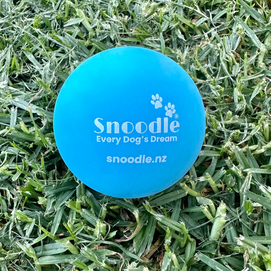 Snoodle Ball Blue