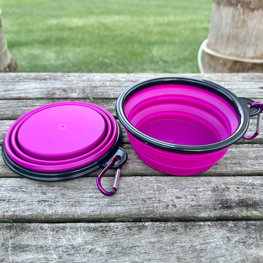 Purple Portable Pet Food Bowl: Foldable & Durable