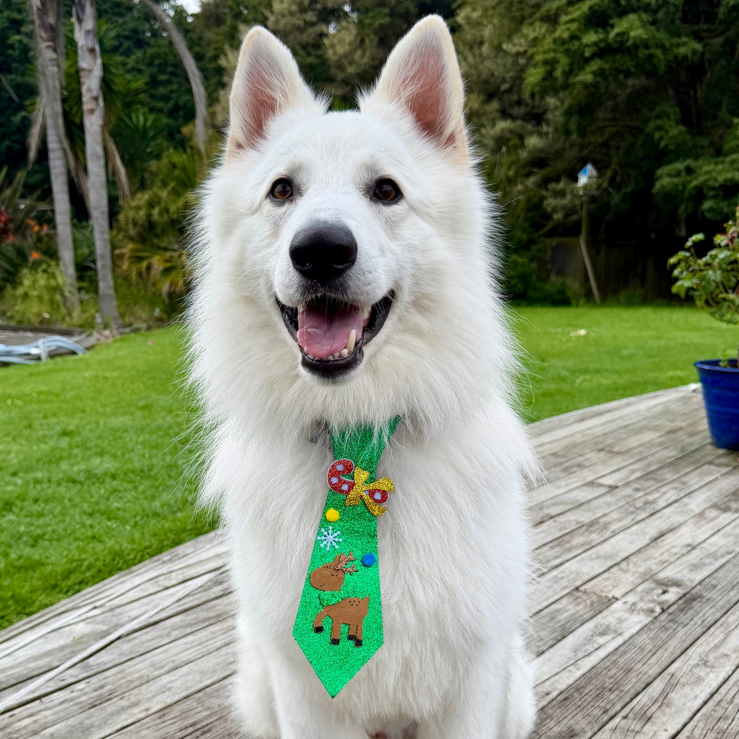 Christmas Green Reindeer Glitter Dog Tie