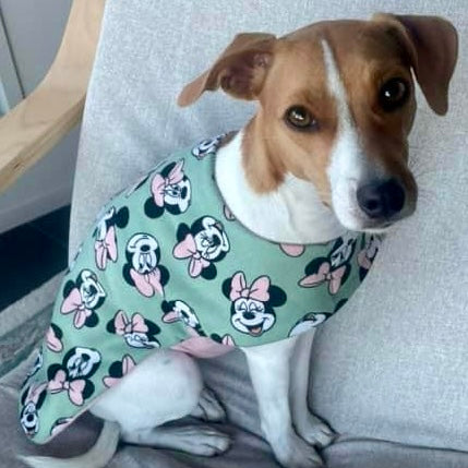 ActiveWear Minnie Mouse Green and Peach Dog Coats