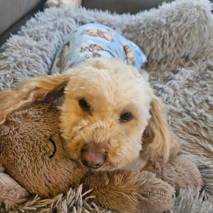 Daywear Deluxe Poo Bear