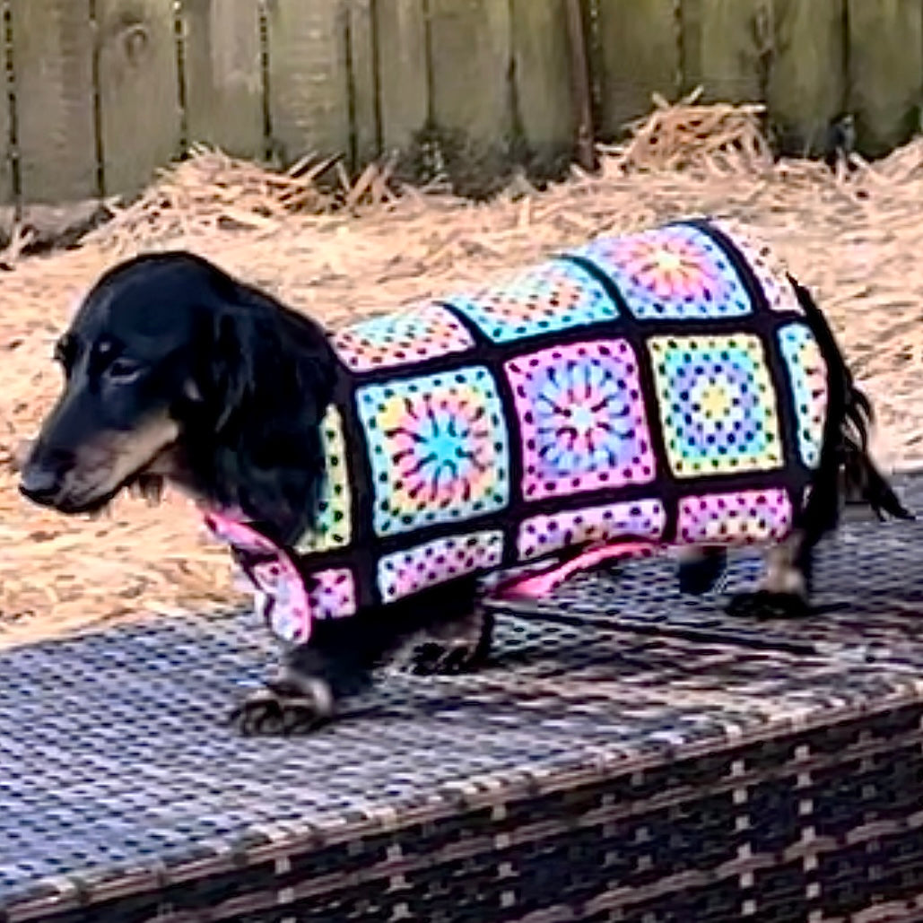 Rainwear Puffer Pink Crochet Print Dog Jacket