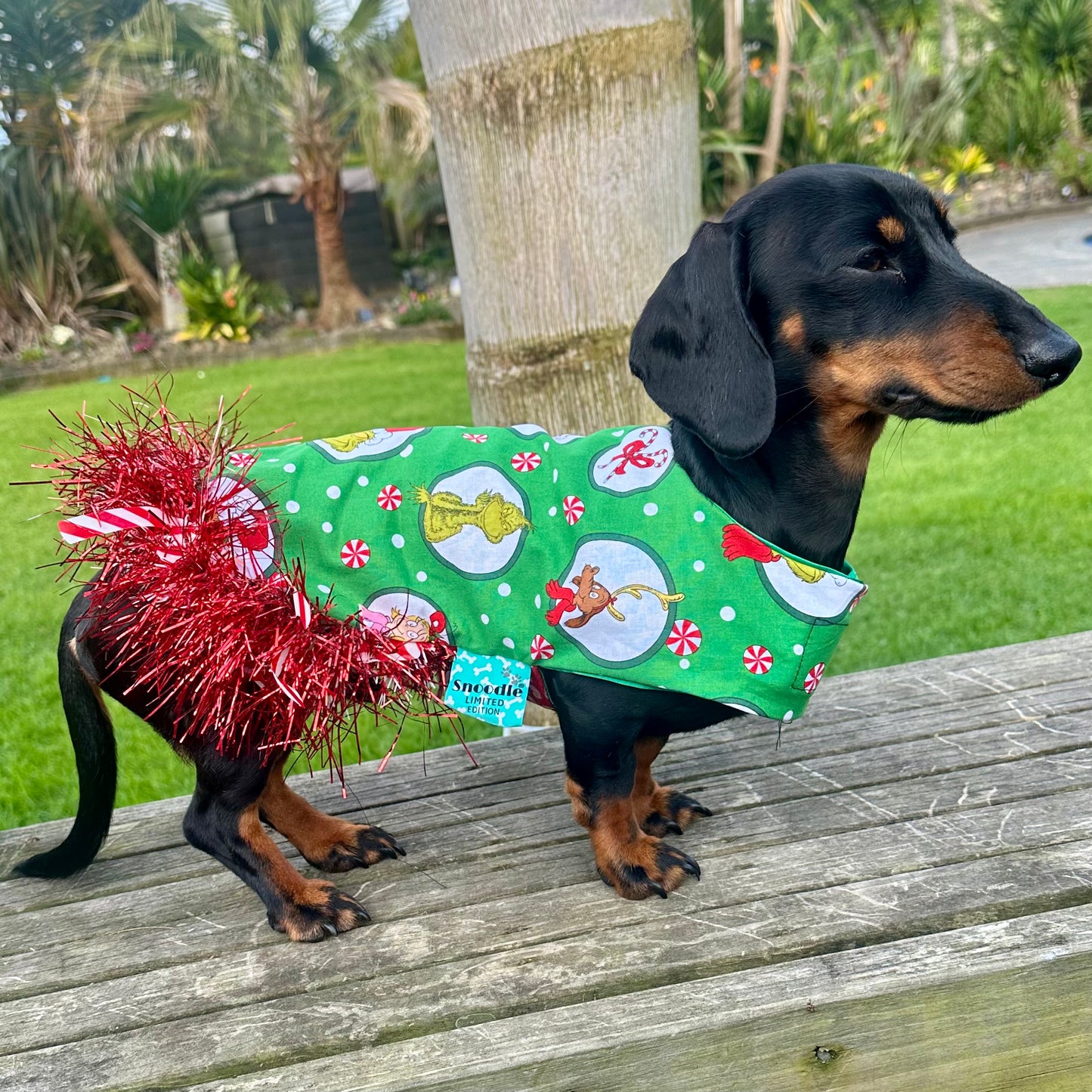 Christmas Grinch Dog Coat