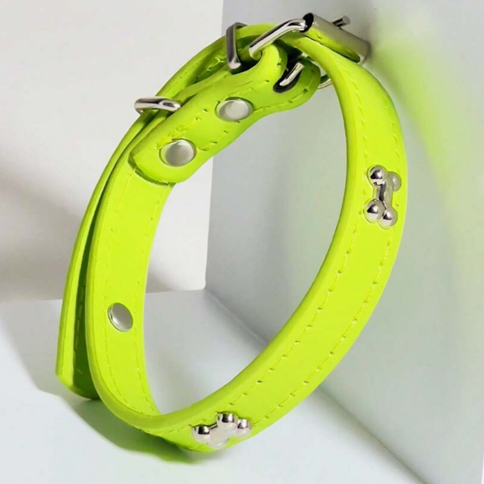 Green Bone Collar plus FREE Collar Charm