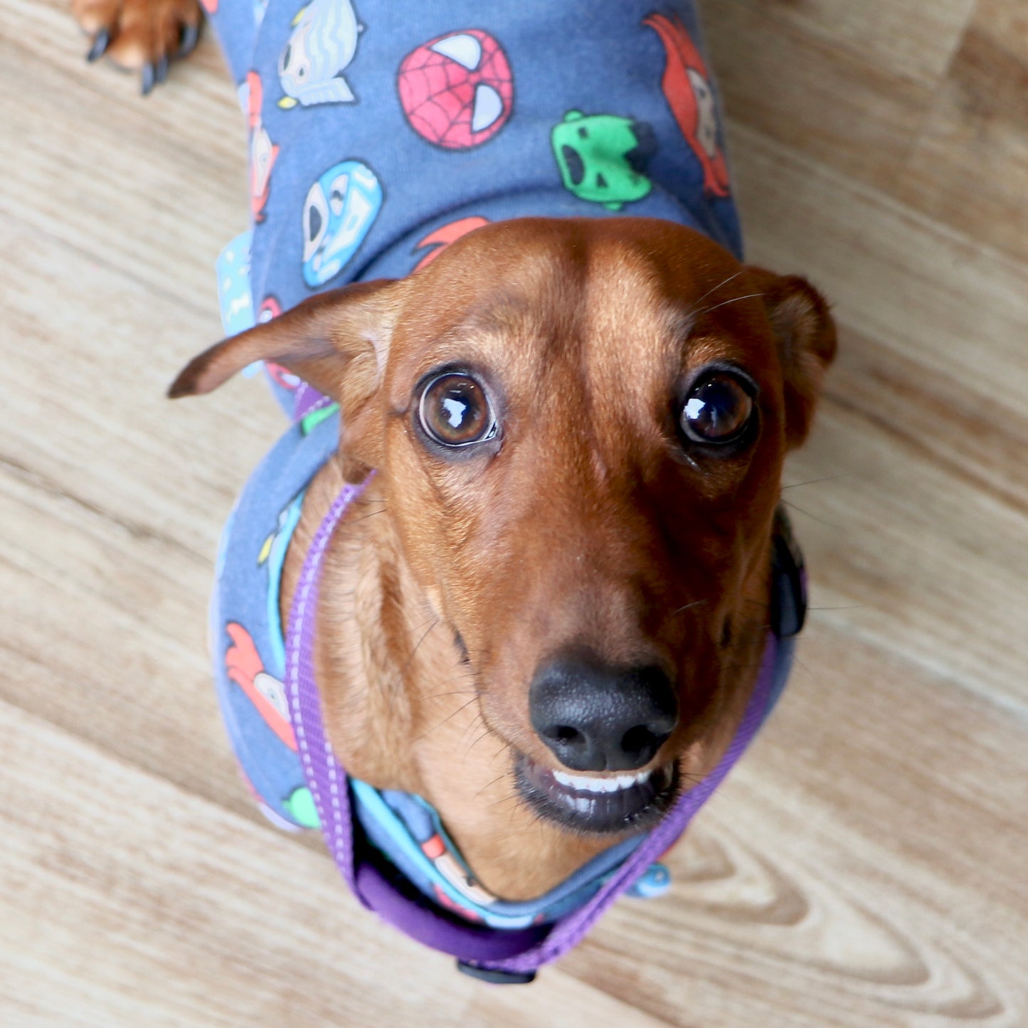 ActiveWear Super Heros Dog Coat