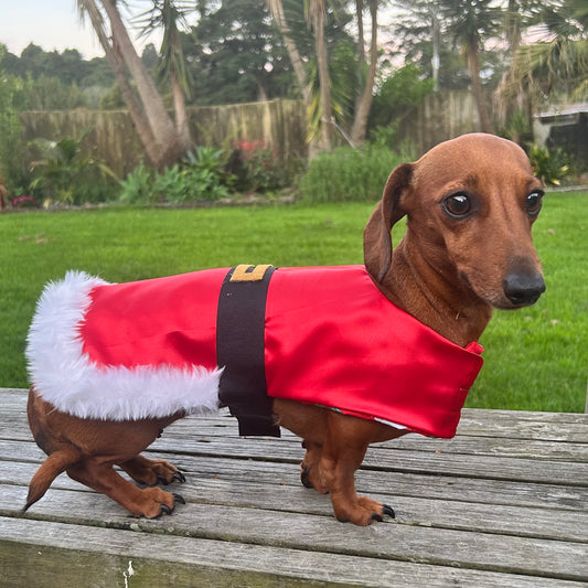 Christmas Santa Dog Coat