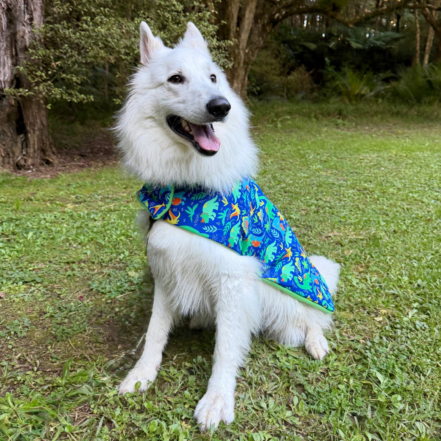 Deluxe Rainwear Green Dinosaur Dog Rain Coat