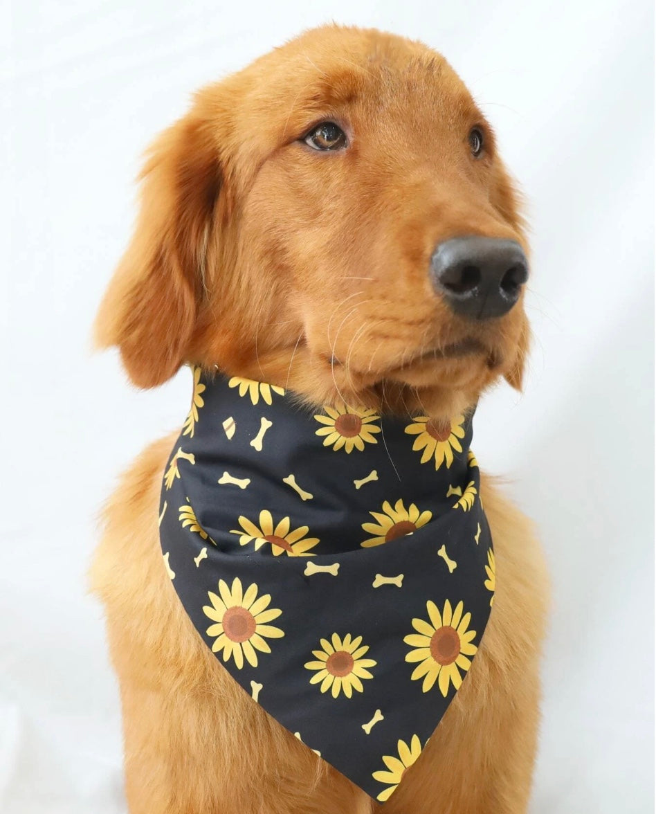 Bone & Sunflower Dog Bandana