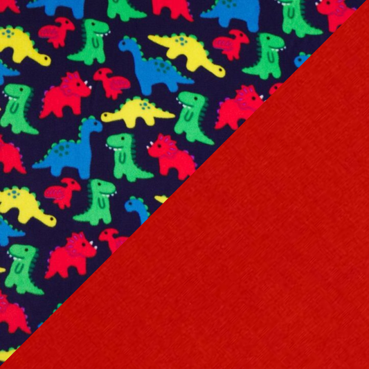 Daywear Colourful Dinosaurs