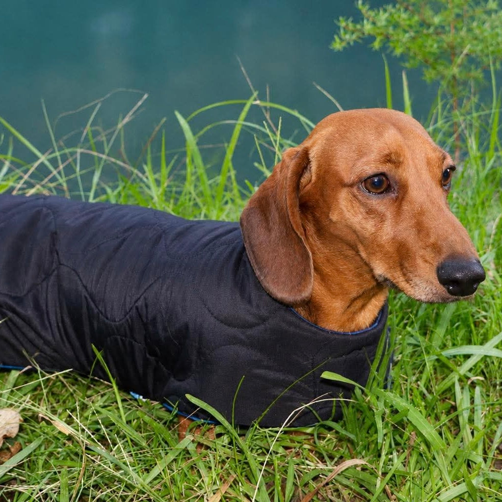 Rainwear Blue Check Puffer Coat