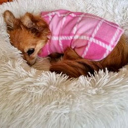 Daywear Pink Tartan Dog Coat