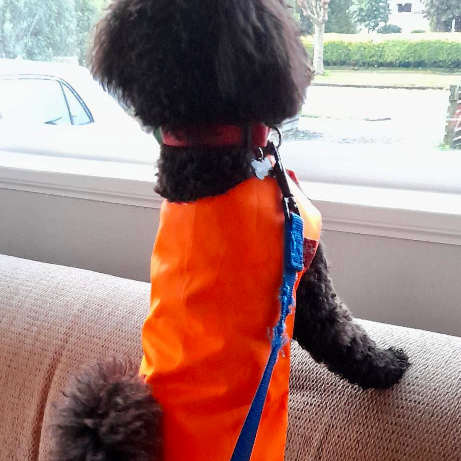 Rainwear Bright Orange Pawprint Dog Rain Coat