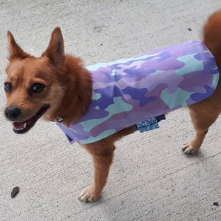Rainwear Purple Camo Dog Rain Coat