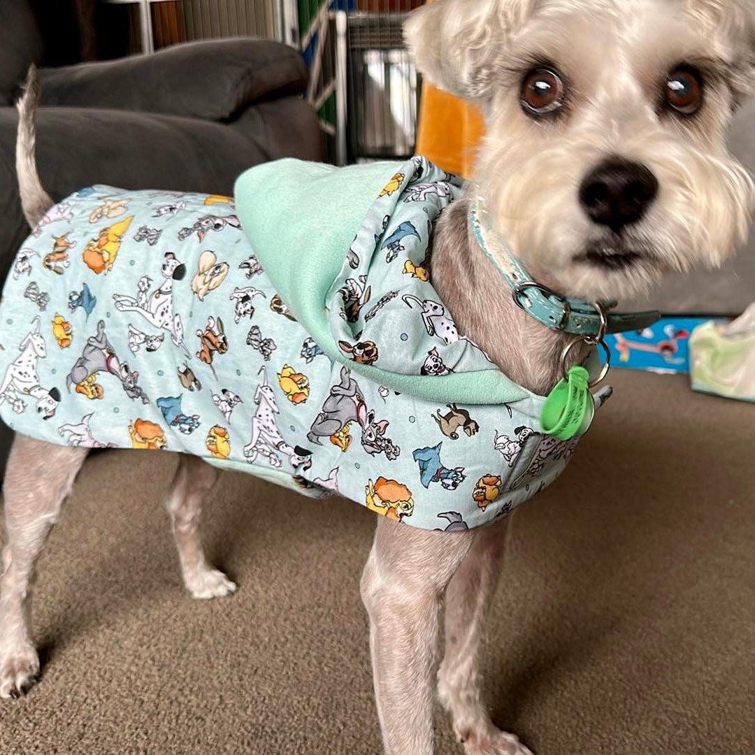 Disney best sale dog pajamas