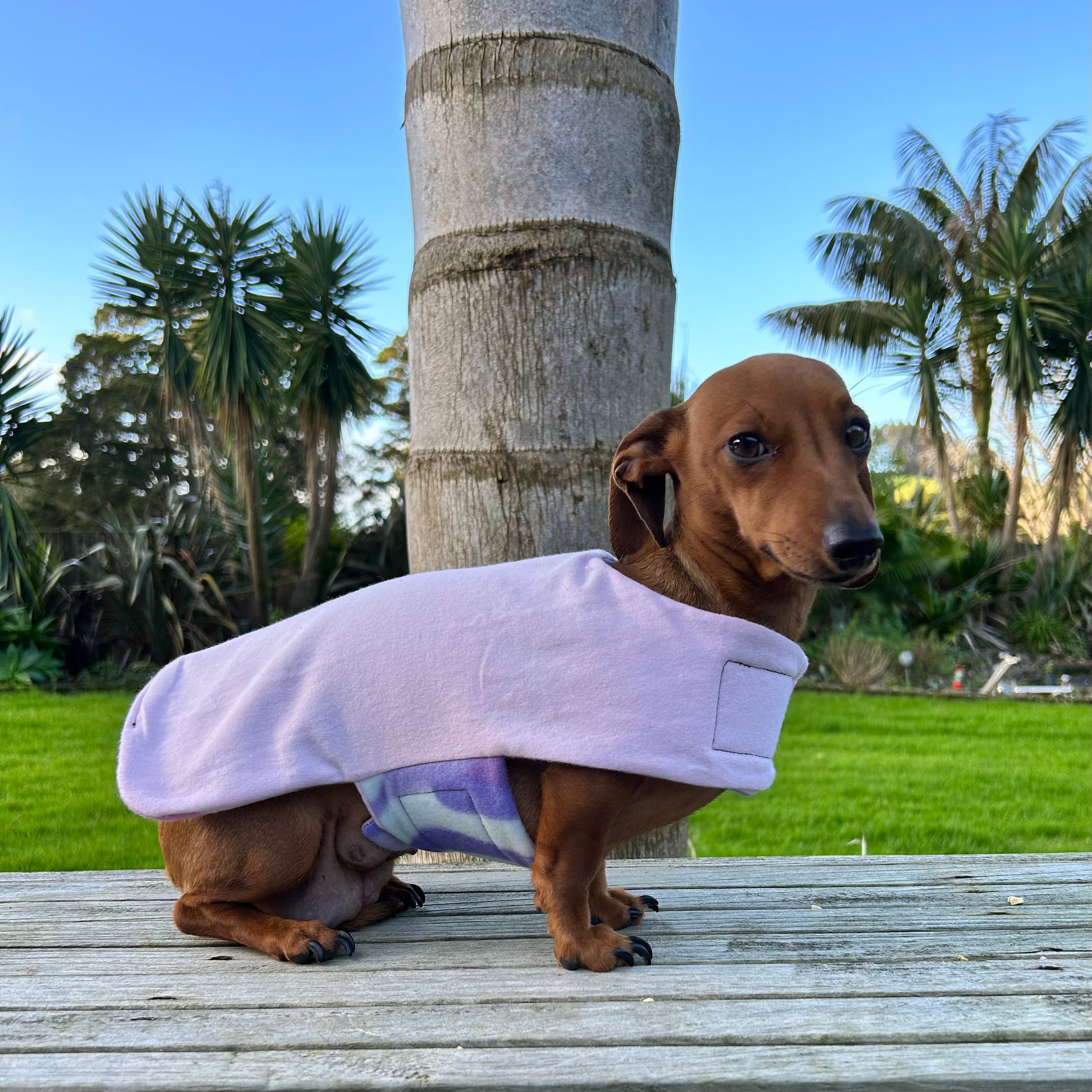 Daywear Pink and Lilac Camo Dog Coat