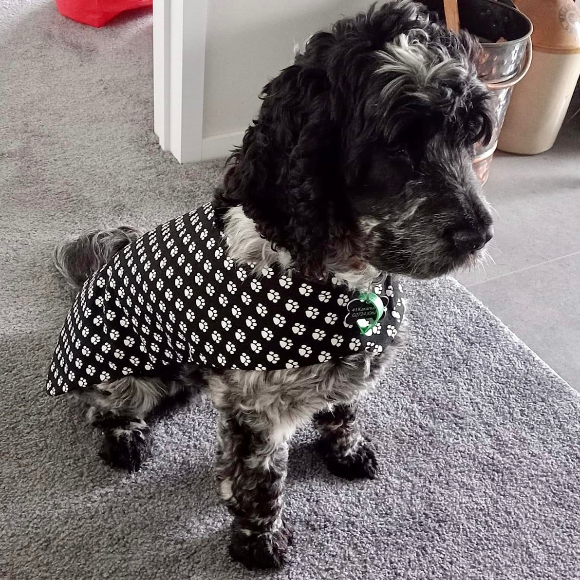 Rainwear Paw Print Dog Rain Coat Snoodle