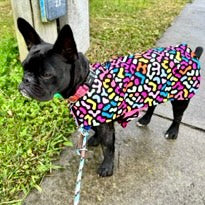 Rainwear Pink Pattern Dog Rain Coat