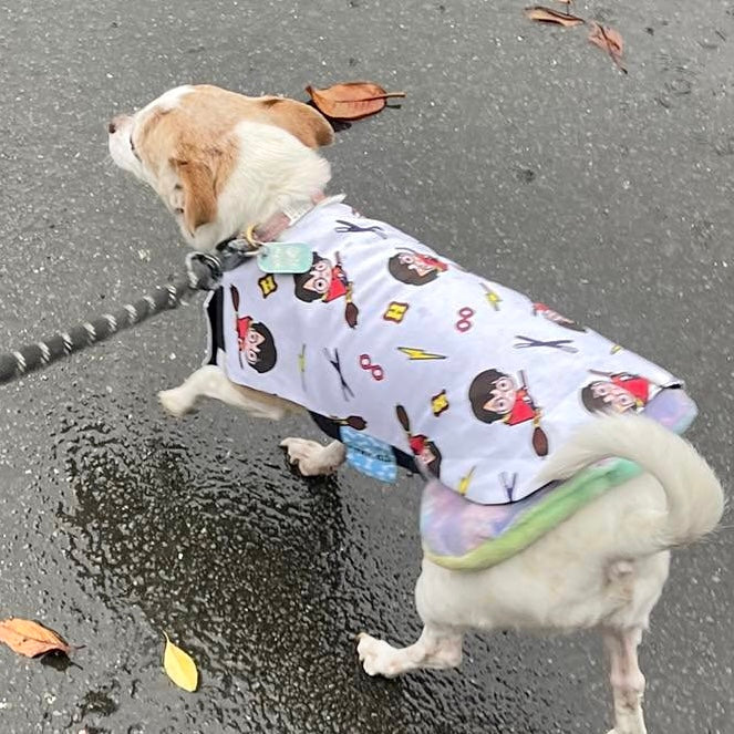 Rainwear Harry Potter Dog Rain Coat