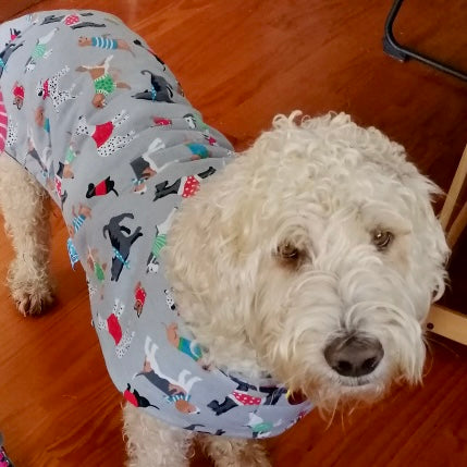 Snoodle Daywear Blue Mixed Dogs