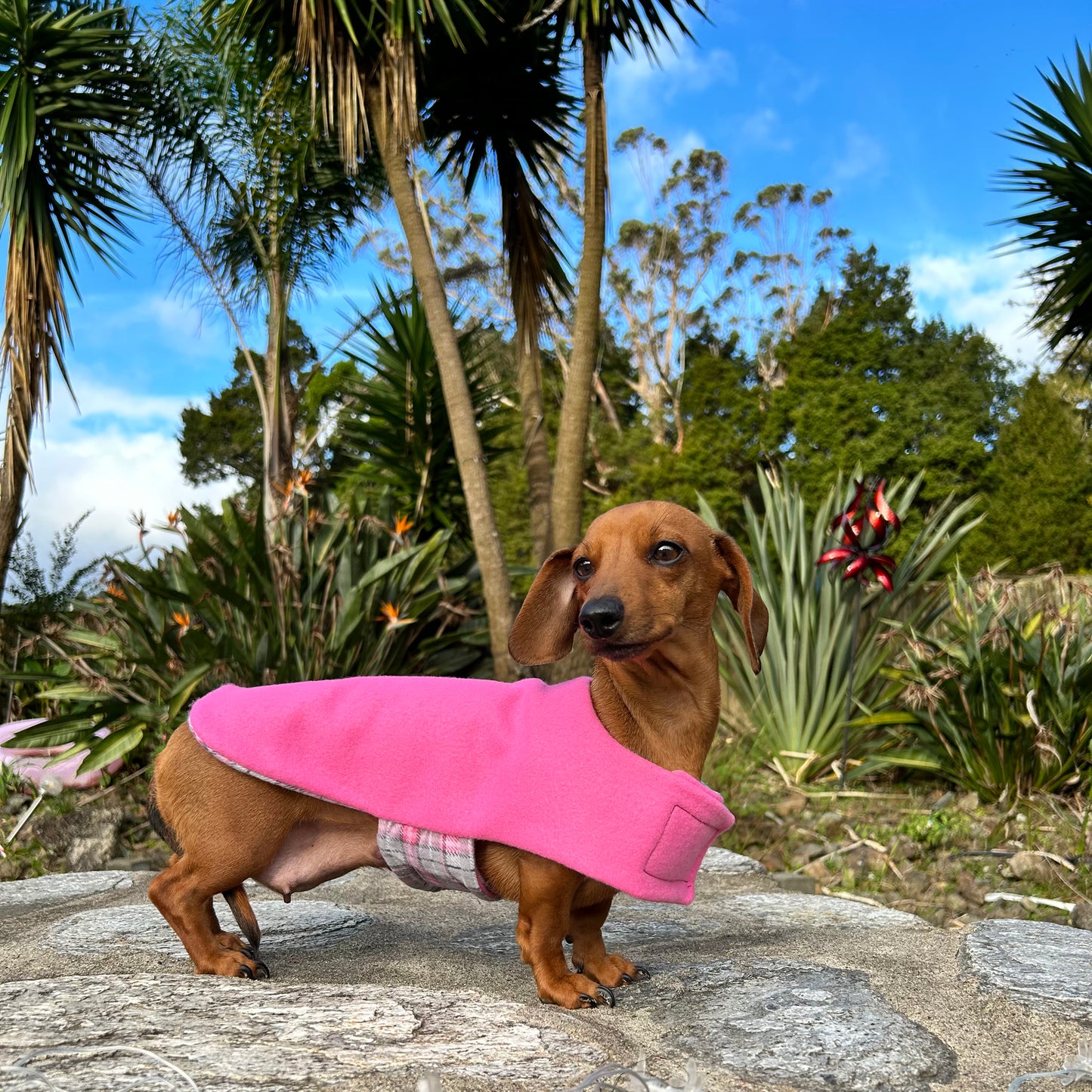 Daywear Pink and Grey Tartan Dog Coat