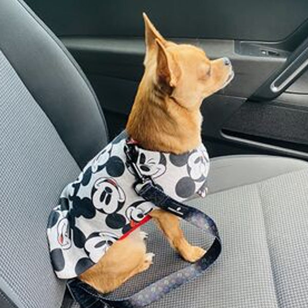 ActiveWear Micky  Dog Coat