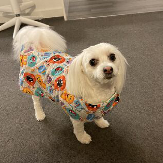 Nightwear Lime Green and Monsters Dog Coat